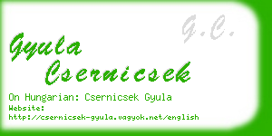 gyula csernicsek business card